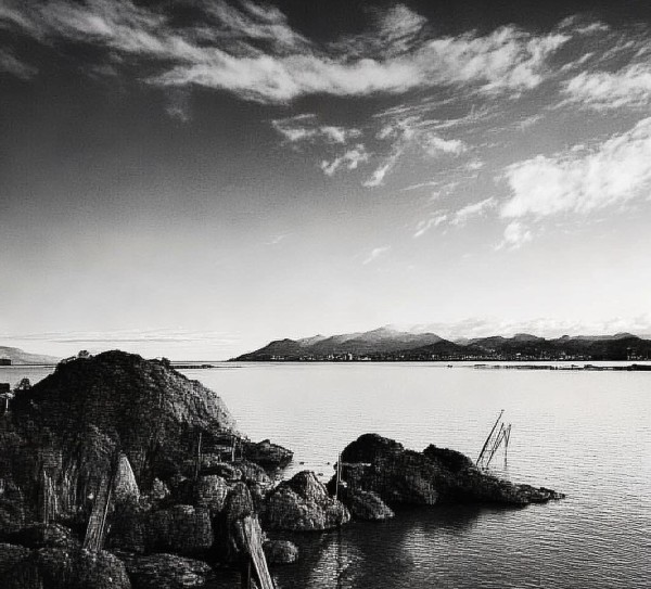 菏泽毅德商贸项目，创新驱动发展新机遇